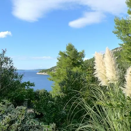 House Vela Luka