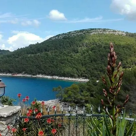 House Vela Luka