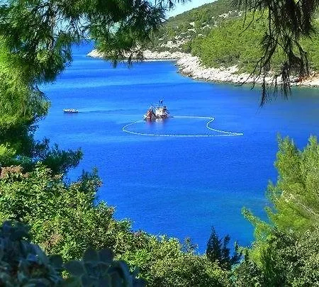 House Apartment Vela Luka